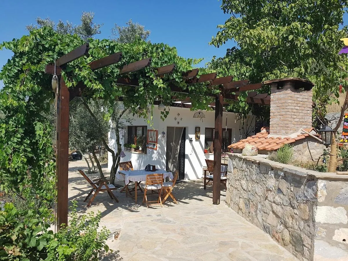 Villa Iksir Selçuk