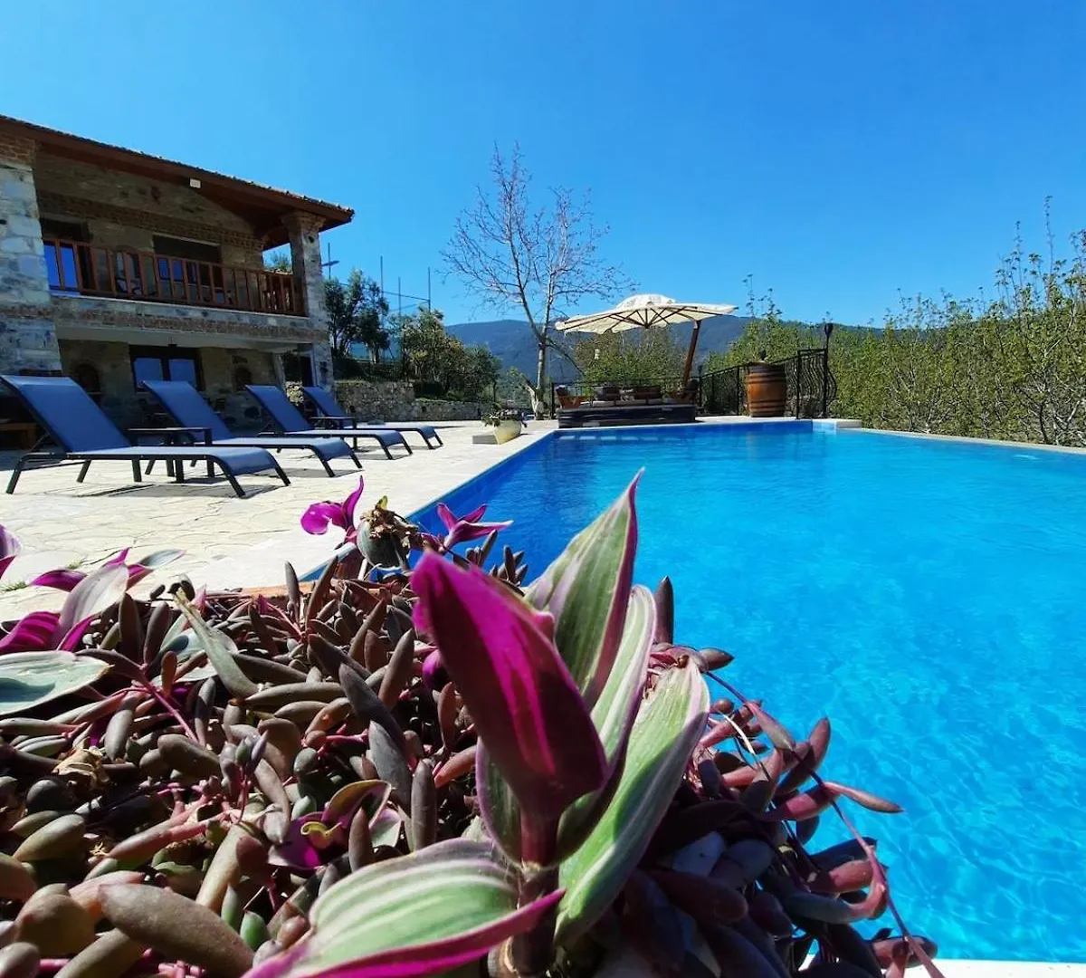 Villa Iksir Selçuk