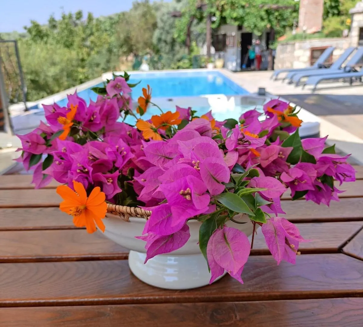 Villa Iksir Selcuk