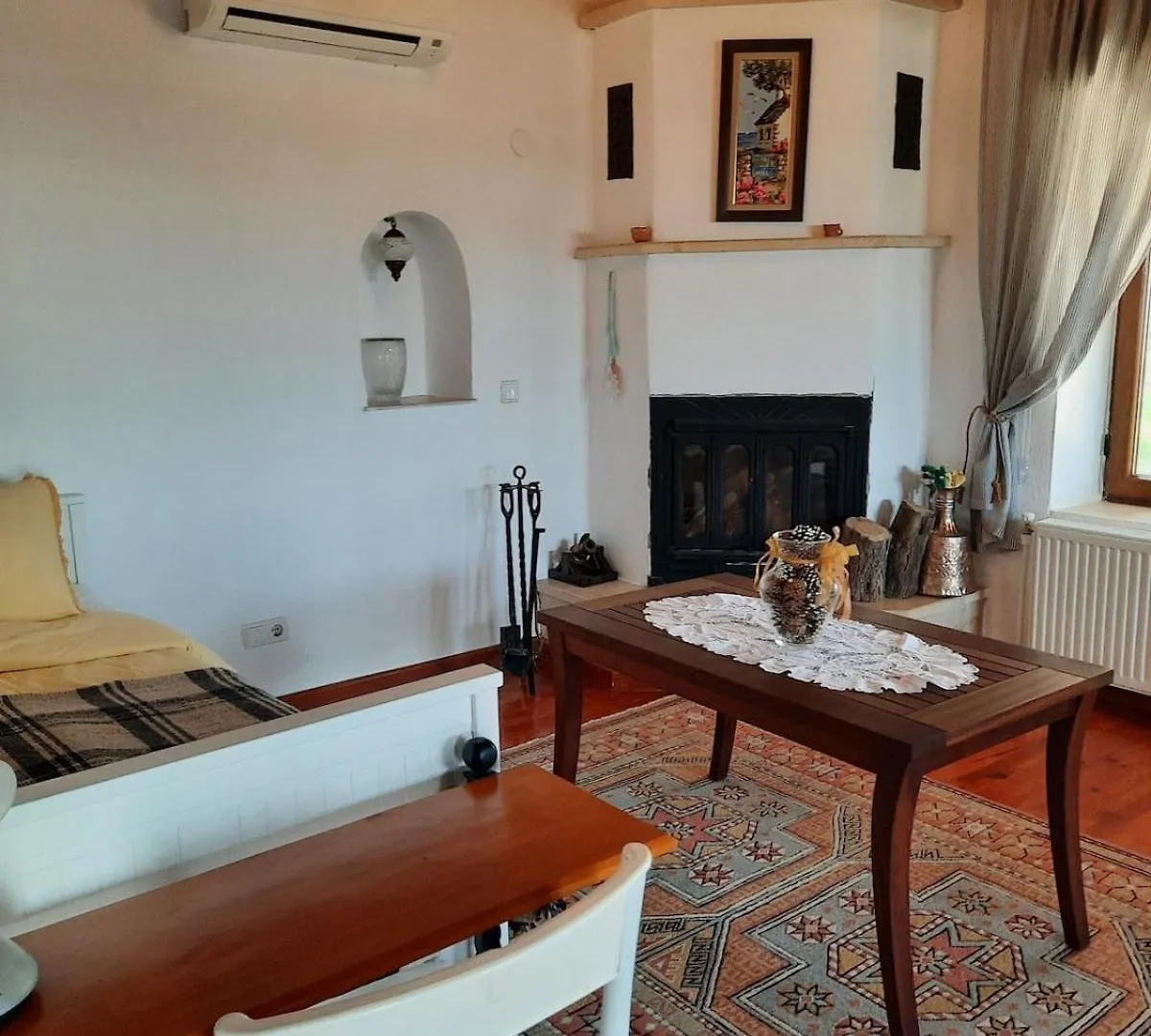 Villa Iksir Selcuk